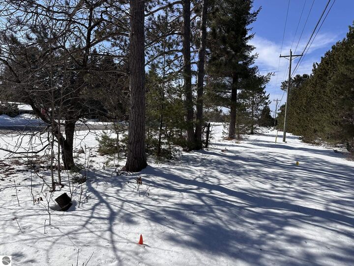 Property Photo:  Honor Highway  MI 49643 