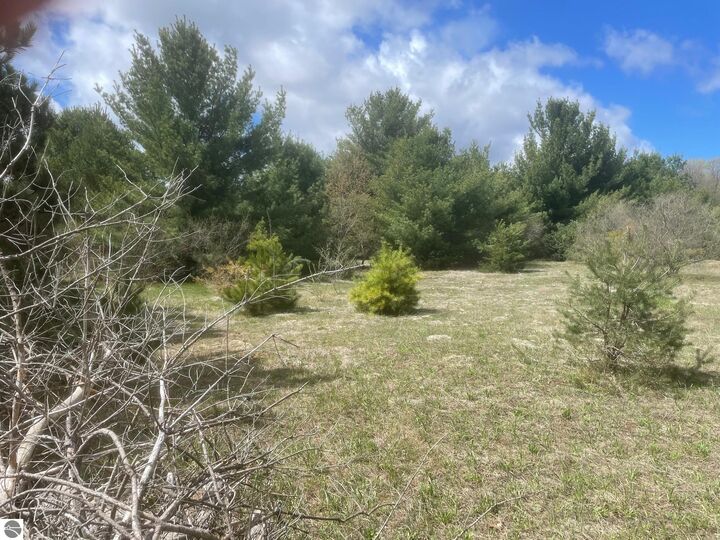 Property Photo: Honor Highway MI 49643