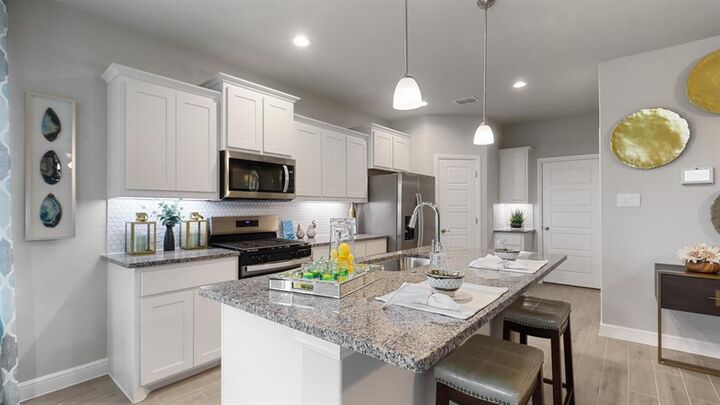 Property Photo:  117 Hugo Court  TX 76078 