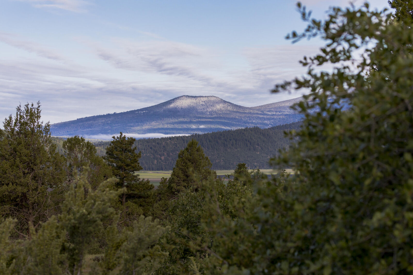 Property Photo:  5779 Engleman Spruce Way  OR 97601 