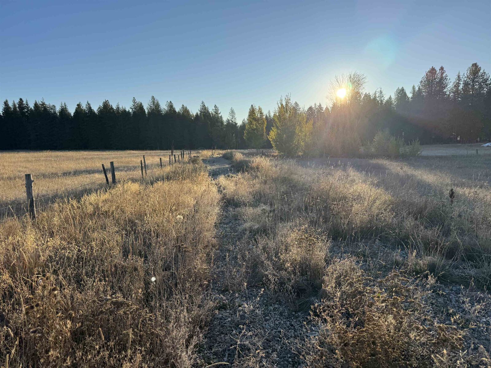 Property Photo:  Xx Mason Rd Lot 4  WA 99110 