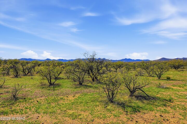 Property Photo:  15700 W Crooked Sky Way 140  AZ 85601 