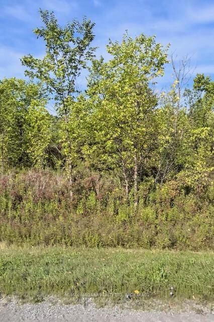 Lot 3 Montrose Road — photo 1