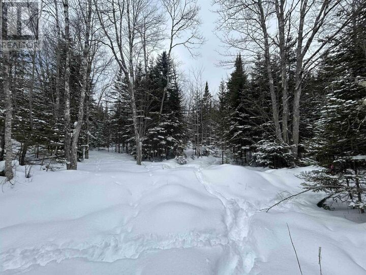 Property Photo:  1 Highway 289 Highway  NS B0N 1C0 