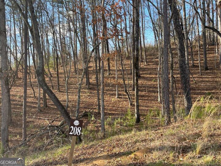 Property Photo:  Lot# 208 Pinnacle Drive 208  GA 30540 