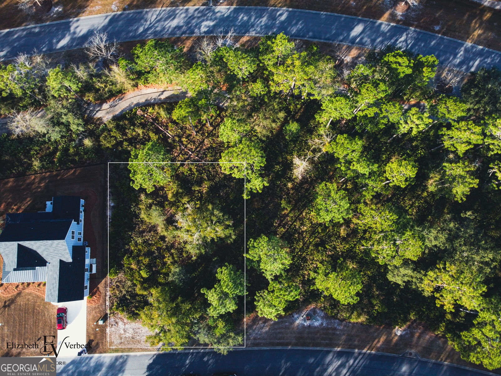 Property Photo: 490 Blue Heron Trail GA 31565