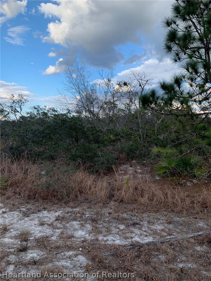 Property Photo:  108 Chippewa Avenue  FL 33852 
