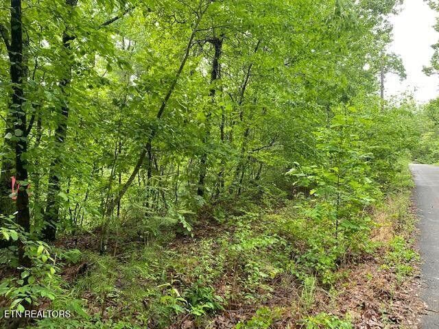 Property Photo:  9129 Lynnwood Lane  TN 37853 