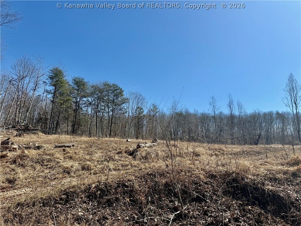 Property Photo:  0 Blessing Lane  WV 25271 