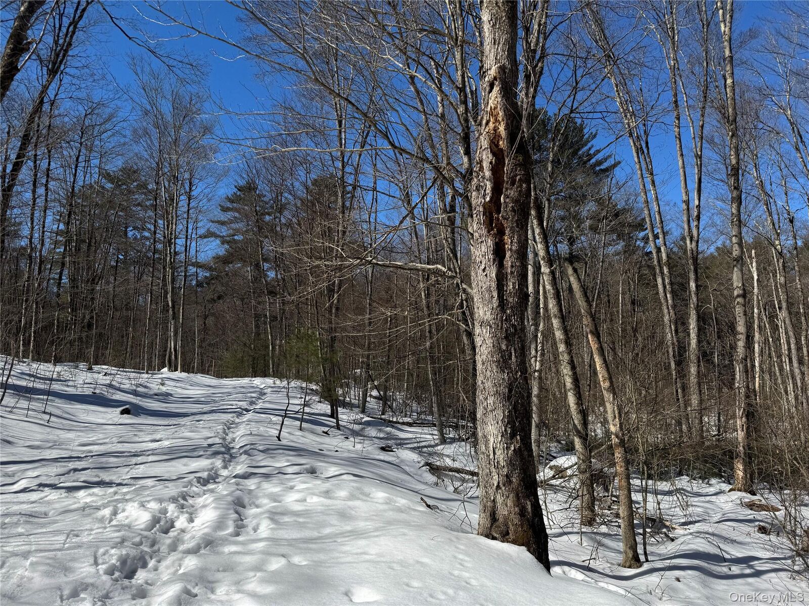 Property Photo:  Lot 32 Woodstone Trail  NY 12720 
