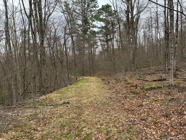 Property Photo:  Lot 32 Woodstone Trail  NY 12720 