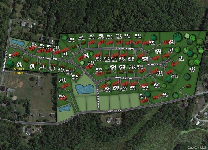 Property Photo: 7 Tamarack Drive NY 12550