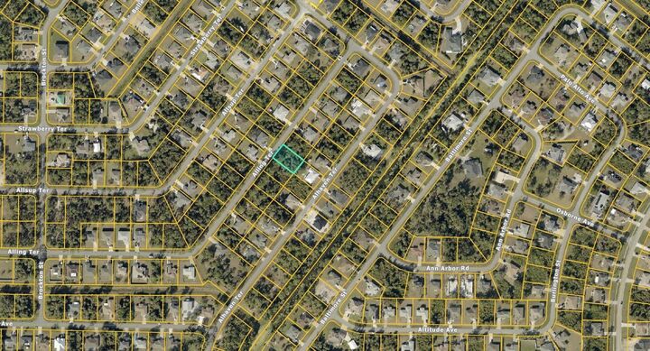 Property Photo: Lot 44 Block 839 Alling Terrace FL 34286