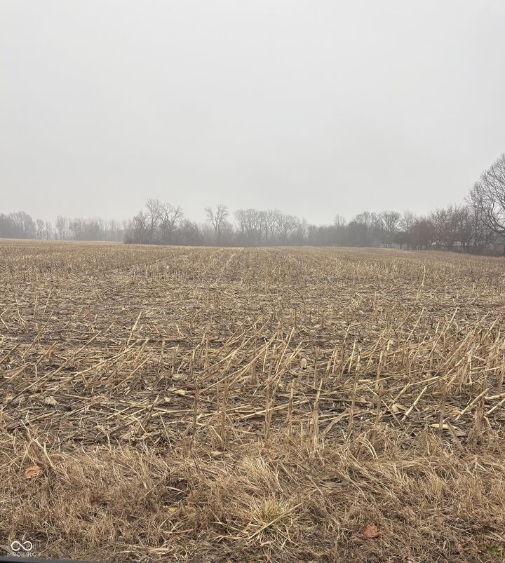 Property Photo:  None Oak Ridge Road  IN 46069 