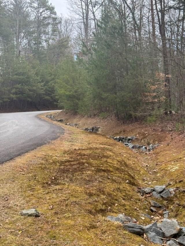 Property Photo: 16R Leatherwood Mountain Road GA 30522