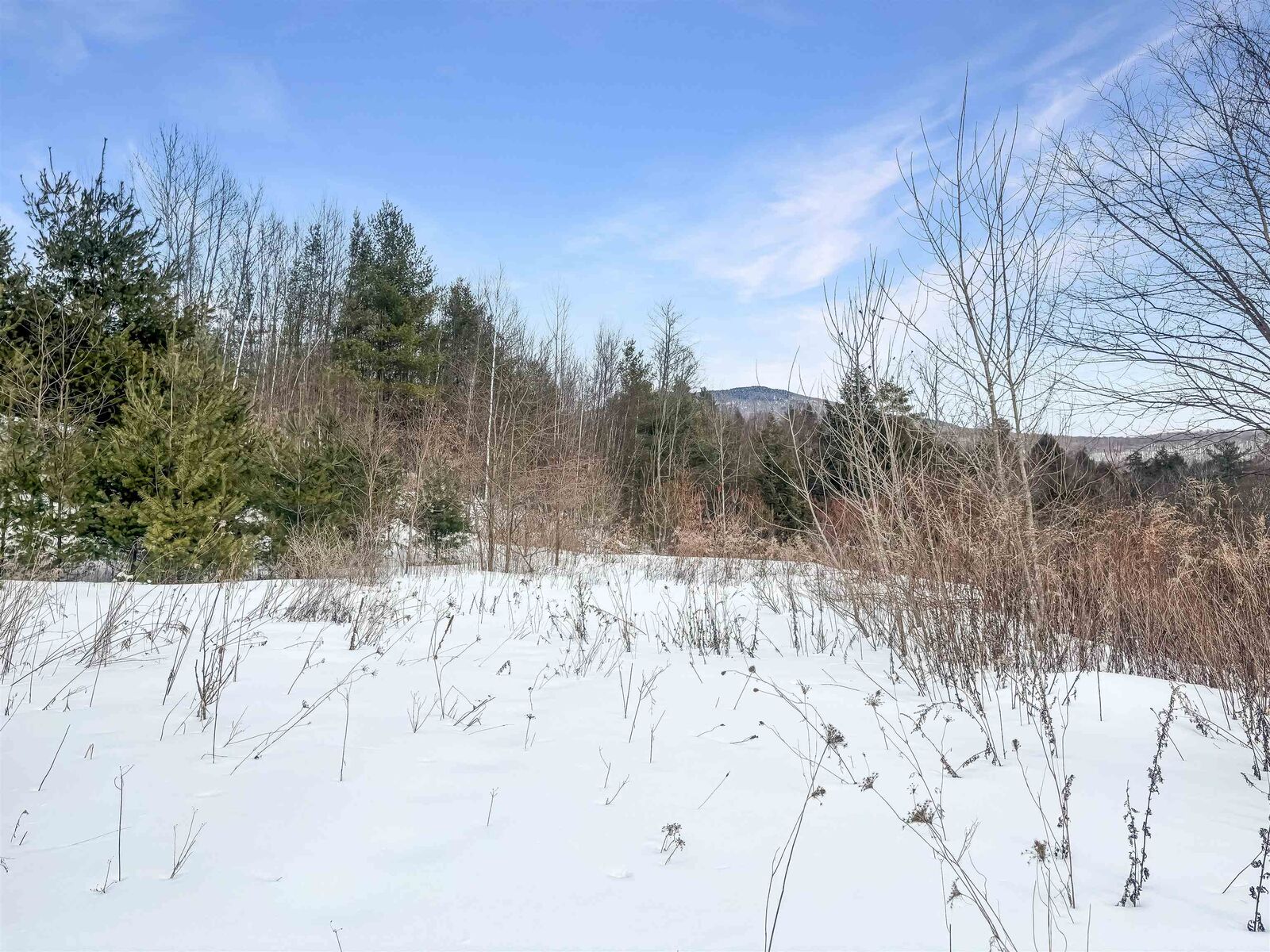 Property Photo:  100 Pennock Lane  VT 05701 