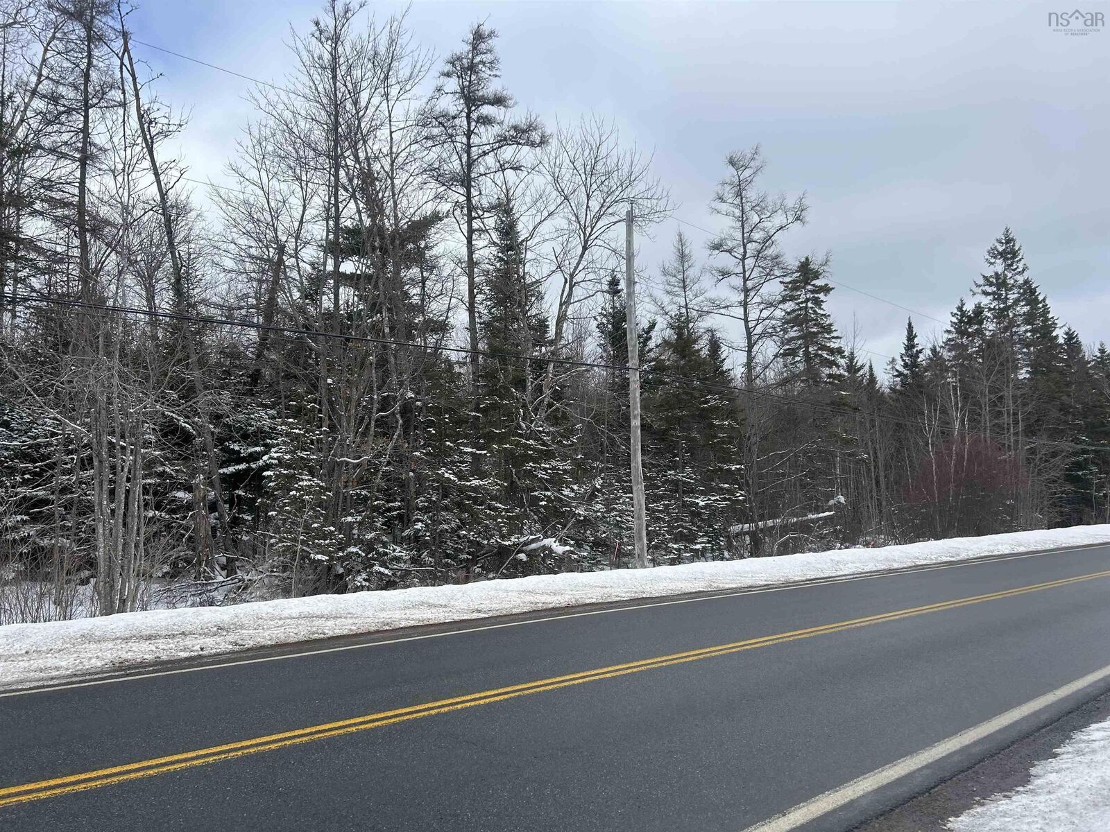 Photo de la propriété:  1 Highway 289 Highway  NS B0N 1C0 
