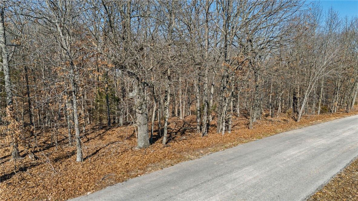 Property Photo:  Lot 1 Tarbolten Lane  AR 72715 