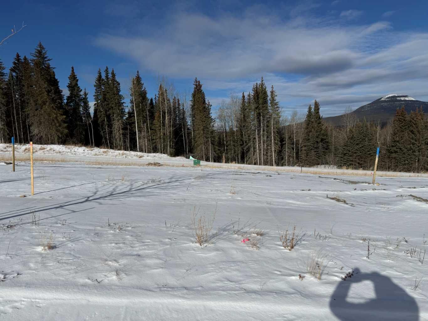 Property Photo: 444 Lily Avenue AB T0M 2H0