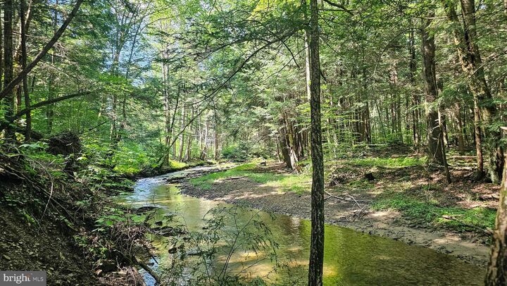 Property Photo:  166.68 Acres Mahaffey Grampian Highway  PA 15757 