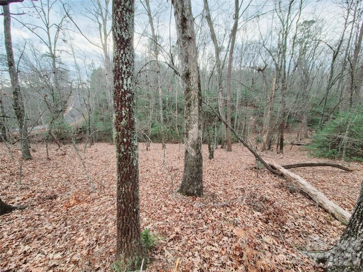 Property Photo:  0 Birddog Boulevard 328  NC 28746 