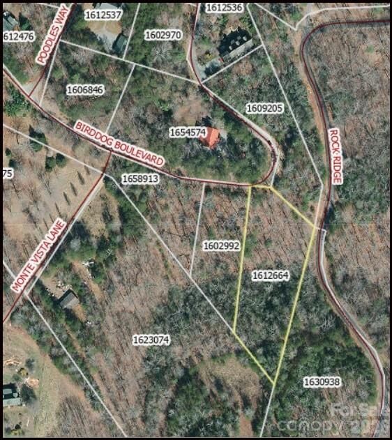 Property Photo:  0 Birddog Boulevard 328  NC 28746 