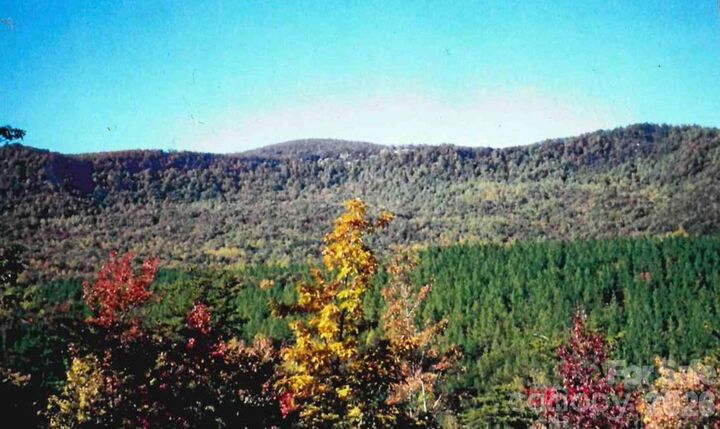 Property Photo:  000 Froggyville Lane  NC 28756 