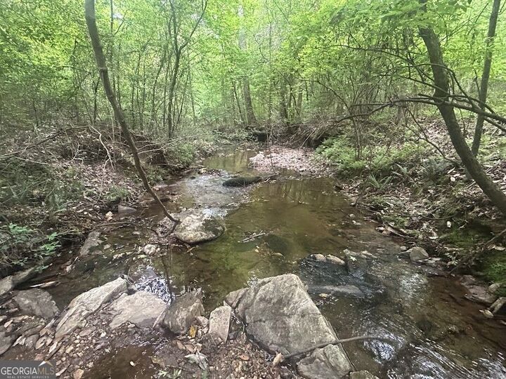 Property Photo: 236 Riversong (Tract 8) GA 30117