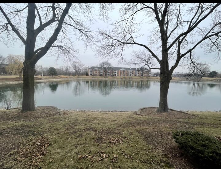 Property Photo:  5501 Carriageway Drive 112  IL 60008 