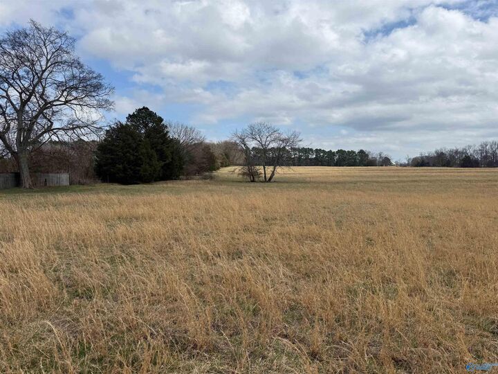 Property Photo:  Lot 1 Holt Road  AL 35613 