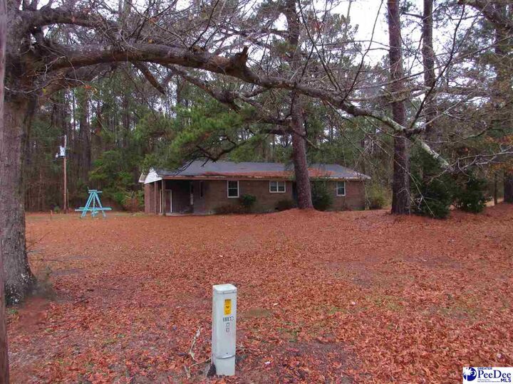 Property Photo:  4204 Martin Luther King Jr. Highway  SC 29590 