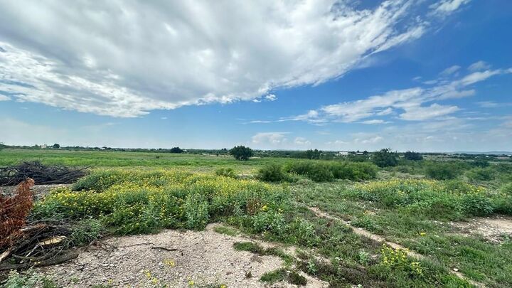 Property Photo:  8741 Rust Road  TX 76905 