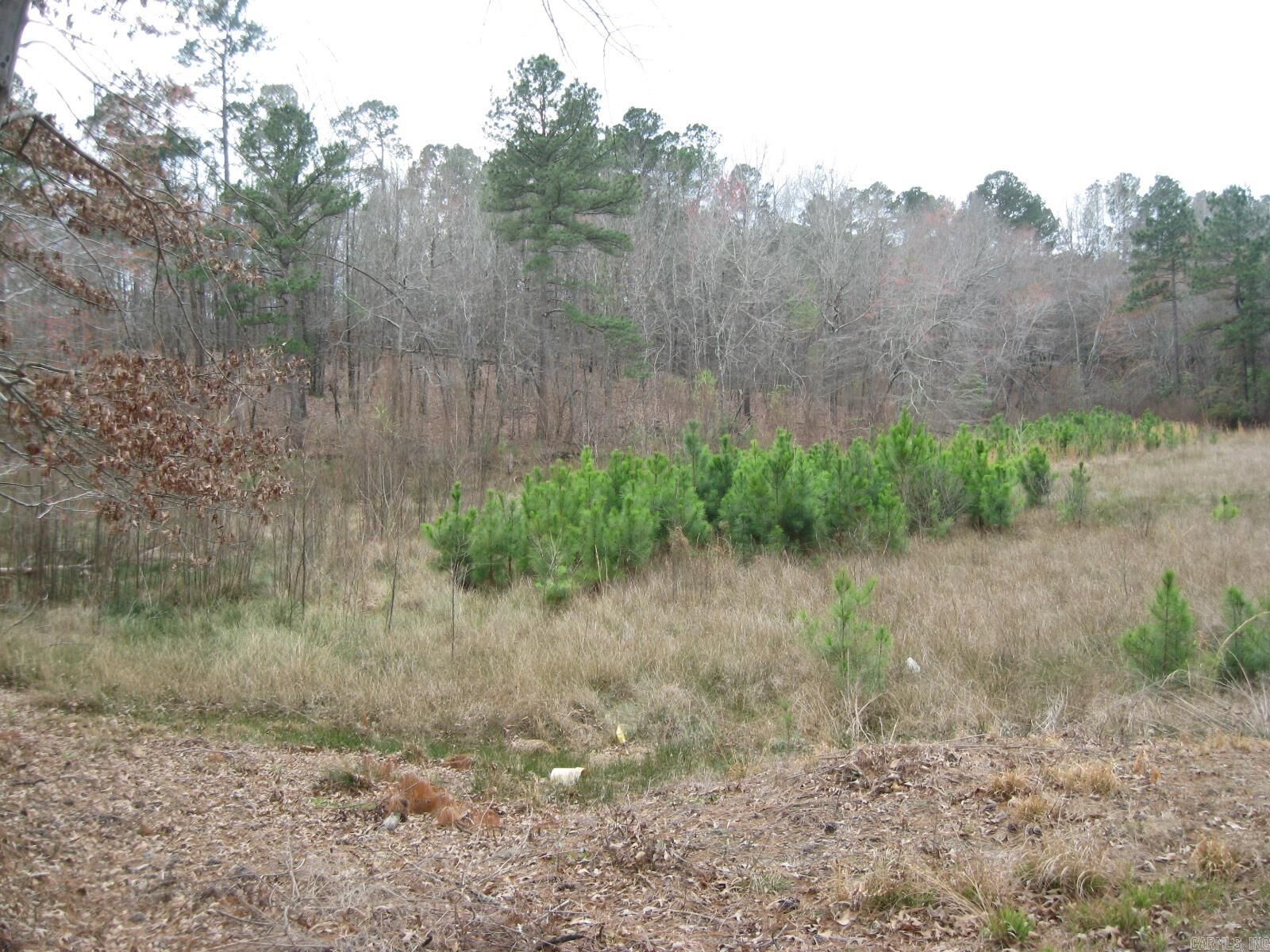 Property Photo:  0 Willow Springs Rd  AR 72206 