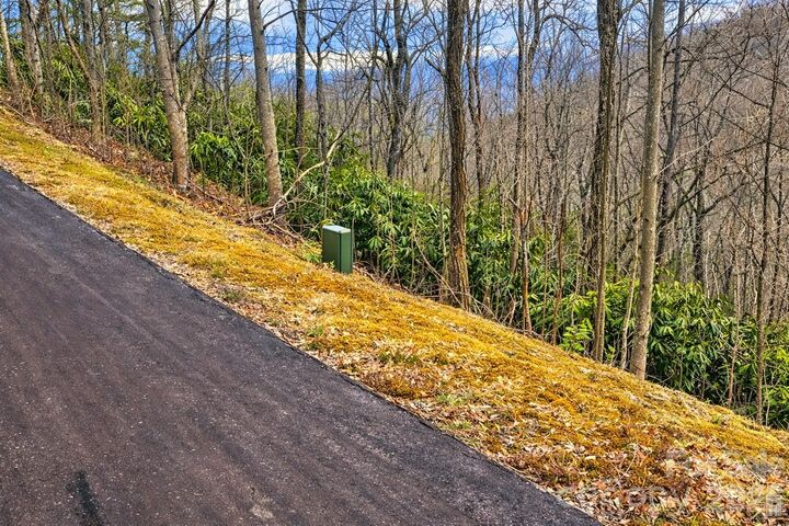 Property Photo:  11 Majestic Overlook Way 36  NC 28715 