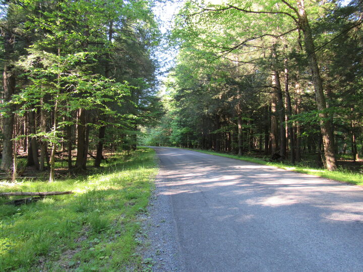 Property Photo:  25 Woolendean Rd  PA 15801 