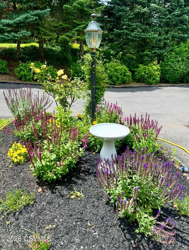 Property Photo:  74 Crestview Drive  PA 17889 