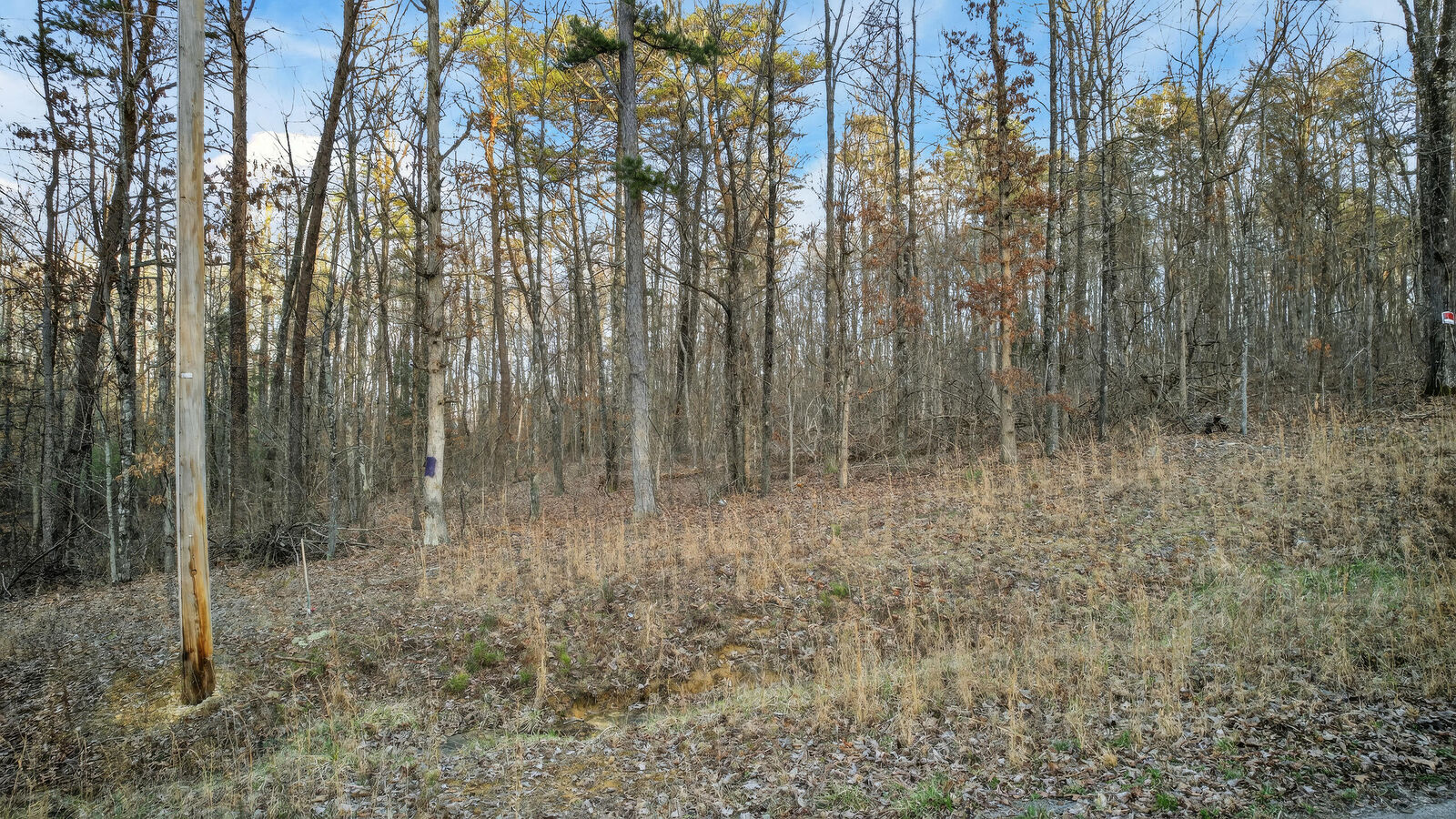 Property Photo: 0 Brentwood Lane TN 37327