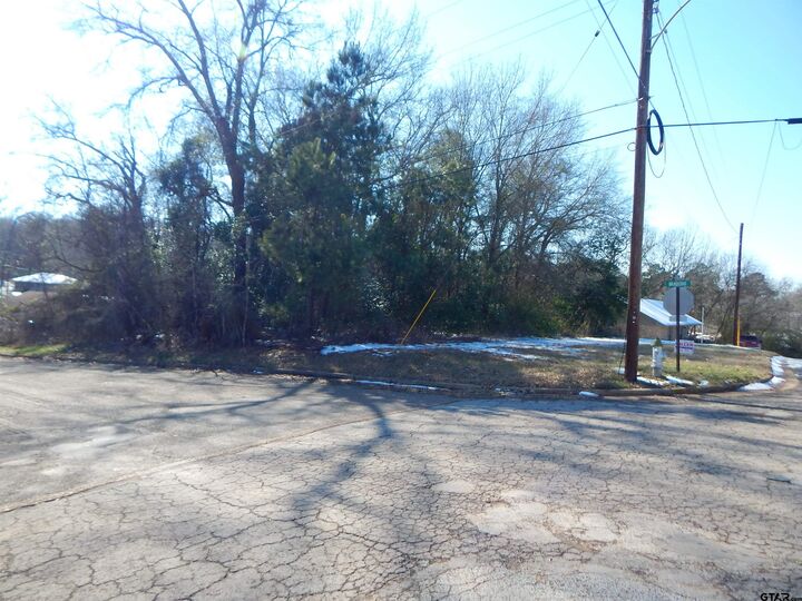 Property Photo:  Tbd Lot 3 Skyview Dr  TX 75644 