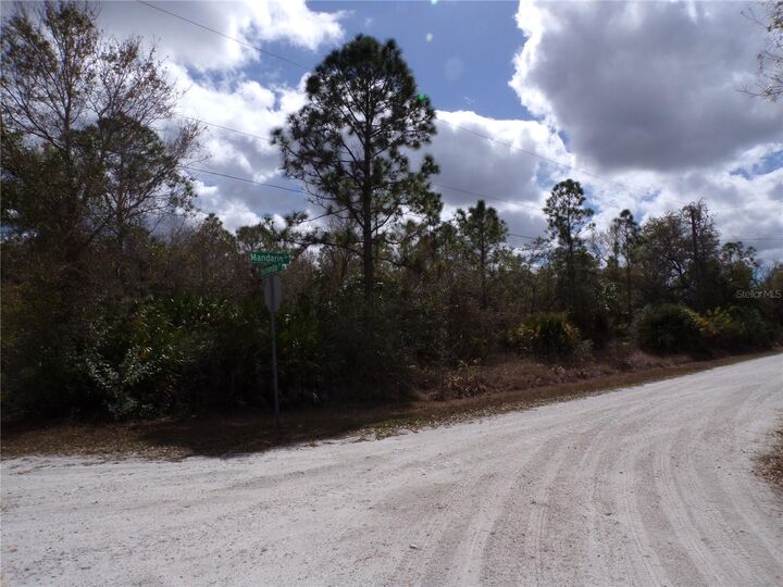 Property Photo:  27269 Hacienda Drive  FL 33955 