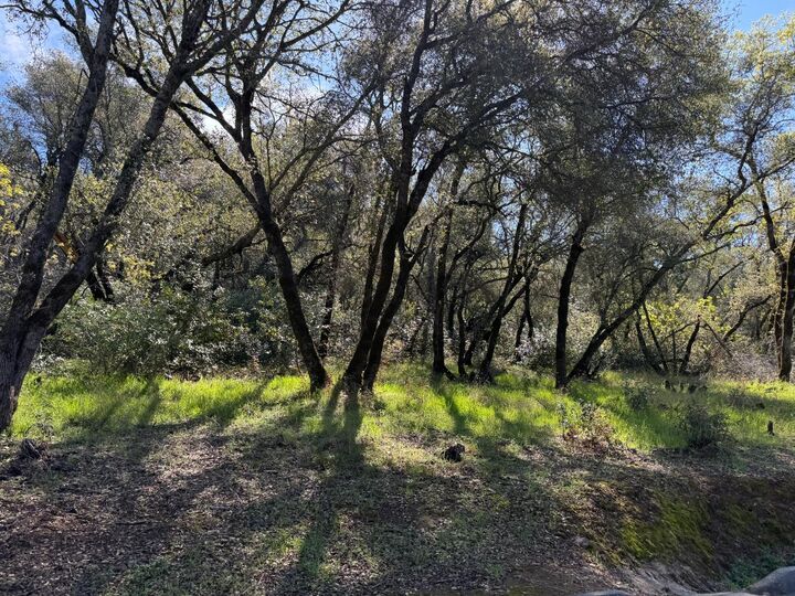 Property Photo: 1001 Old Airport Road CA 95603