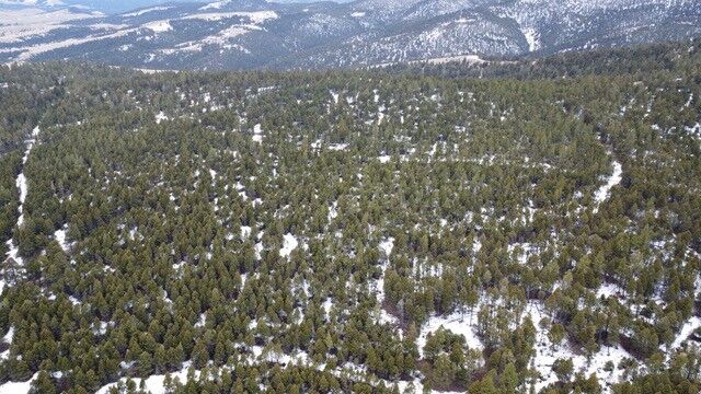 Property Photo: Tbd Turk Road MT 59602