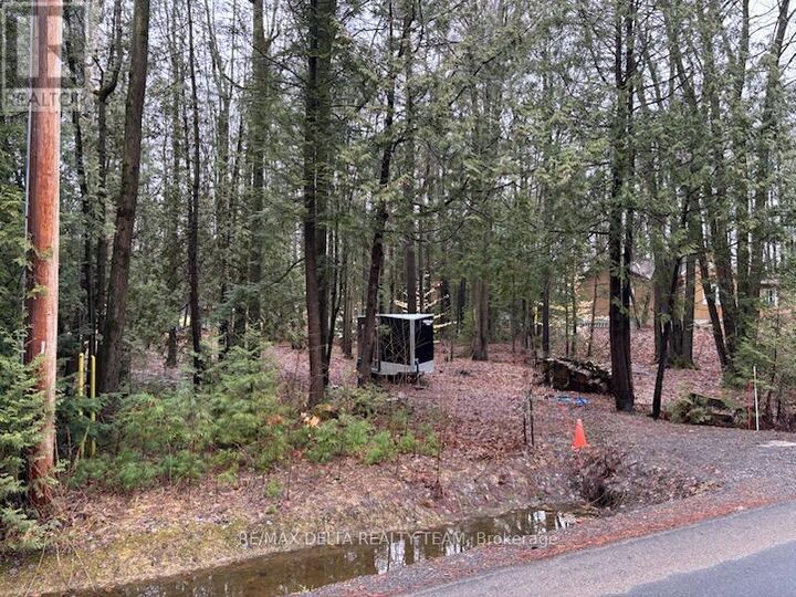Lot 2 Concession 5 Road — photo 1