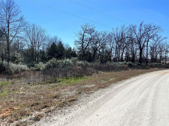 Property Photo:  Lot 31 Cr 389  TX 75846 