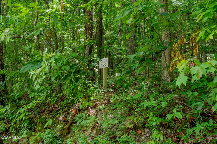 Property Photo:  4521 Huffine Rd  TN 37774 