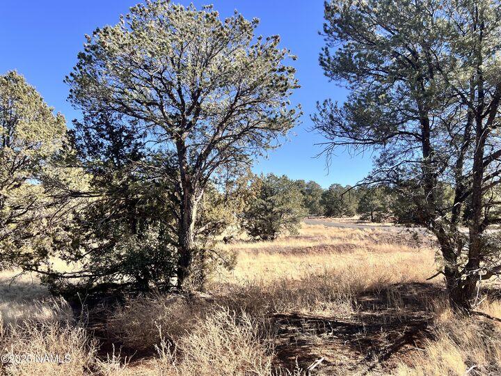 Property Photo:  7223 Daisy Drive  AZ 86046 