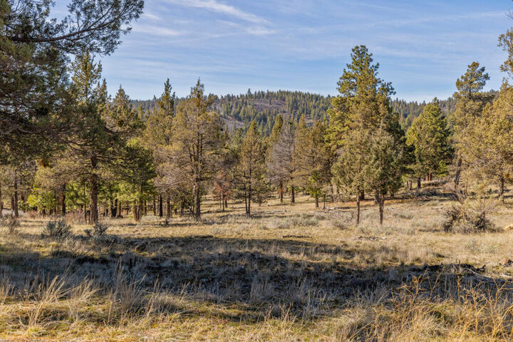 Property Photo:  5768 Engleman Spruce Way  OR 97601 