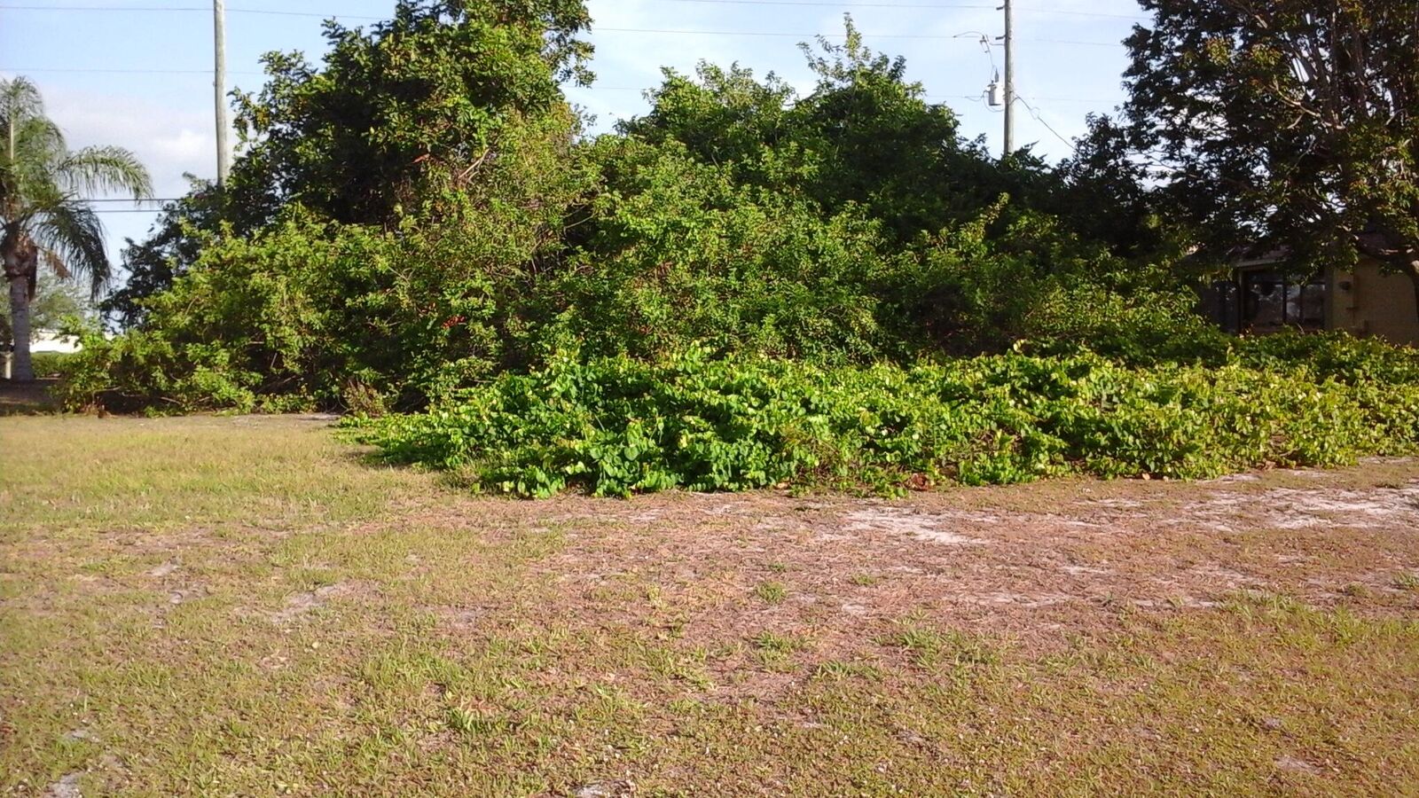 Property Photo:  306 Main Street  FL 32958 