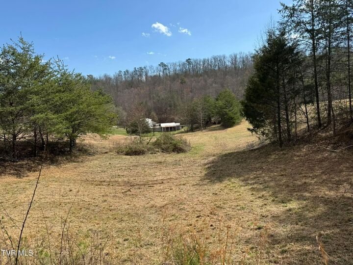 Property Photo:  0 Dyer Hollow Road  TN 37745 