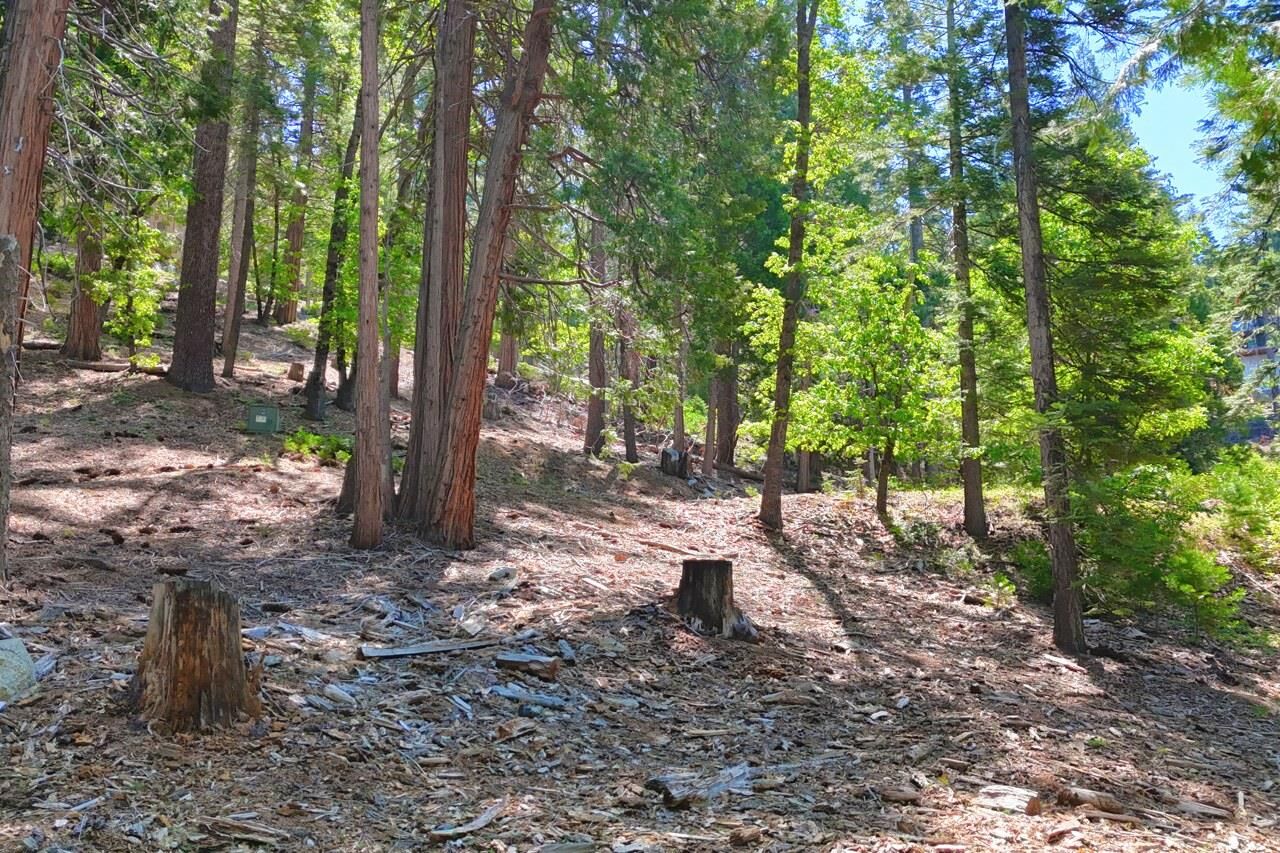 Property Photo:  7220 Yosemite Park Way  CA 95389 