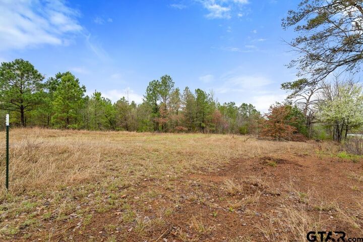 Property Photo:  Tbd Cr 1150  TX 75704 